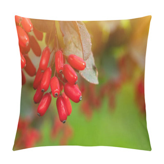 Personality  Red Barberry Berries In The Sun In The Garden, Pillow Covers