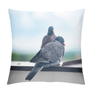 Personality  Adorable Two Pigeons Cuddling On Windowsill Pillow Covers