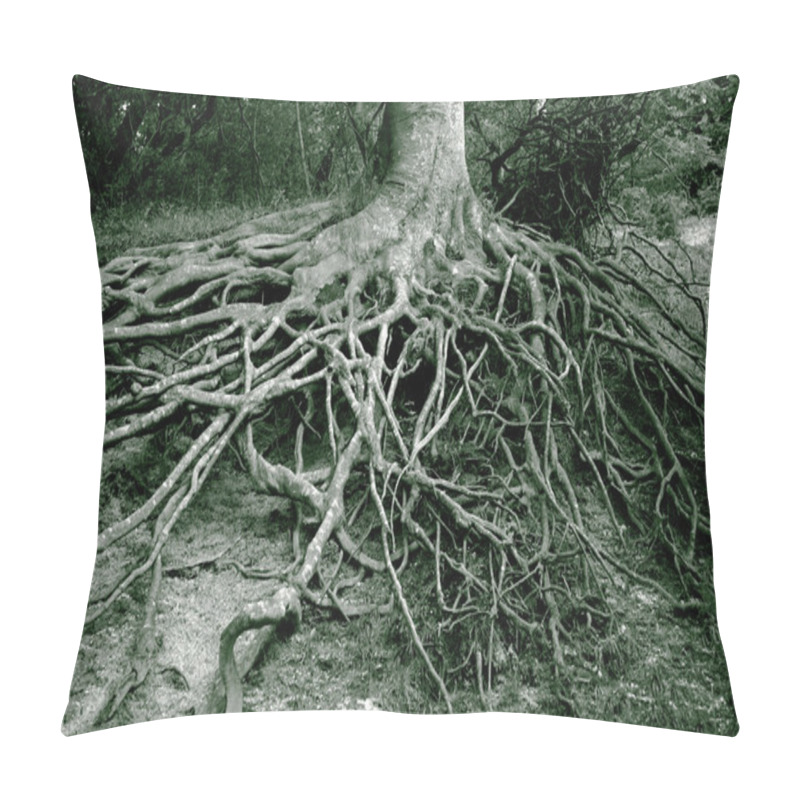 Personality  Roots All Over Pillow Covers