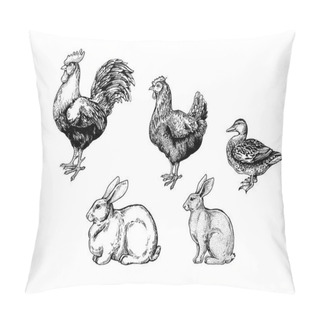 Personality  Agriculture Farm Animals. Vintage Retro Style Classic Illustration For Steak House, Menu, Package Pillow Covers