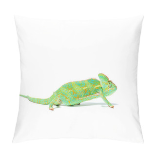 Personality  Side View Of Beautiful Colorful Tropical Chameleon Isolated On White Pillow Covers
