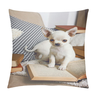 Personality  Adorable Chihuahua Dogs With Books On Sofa Pillow Covers