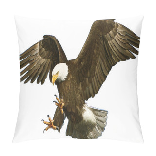 Personality  Bald Eagle Swoop Attack Hand Draw On White. Pillow Covers