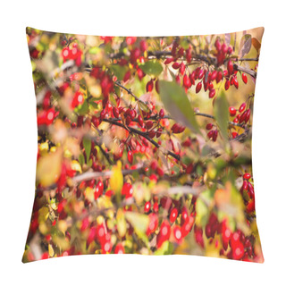 Personality  Berberis Thunbergii Pillow Covers