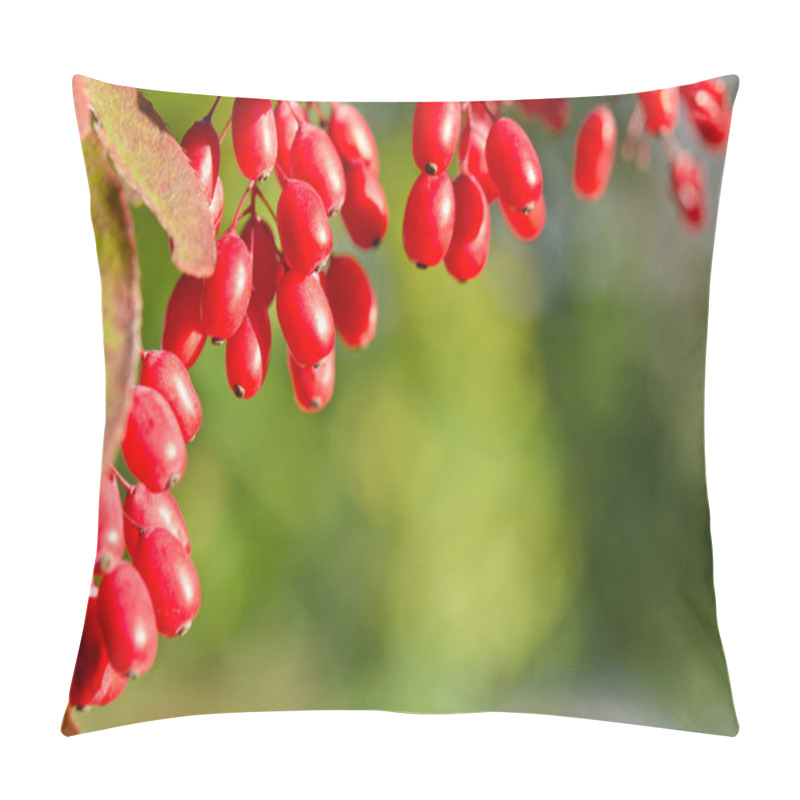 Personality  Red Barberry Berries On The Tree Pillow Covers