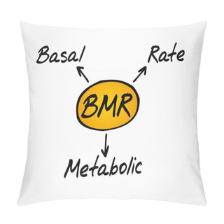 Personality  BMR - Basal Metabolic Rate Acronym, Concept Background Pillow Covers