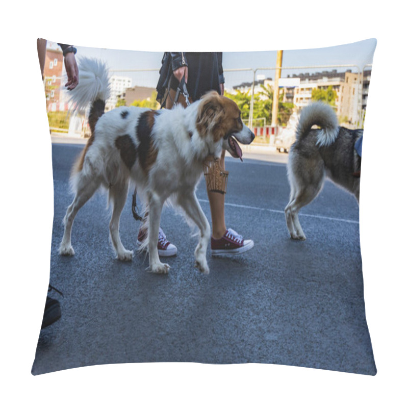Personality  Wroclaw, Poland - September 2022: Freedom square in Wroclaw and city streets full of small and big dogs at Wroclaw Dogs Parade Hau Are You organized by local homeless animal shelter pillow covers