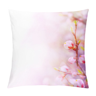 Personality  Spring Field Of Daisies And Blue Sky Background Pillow Covers