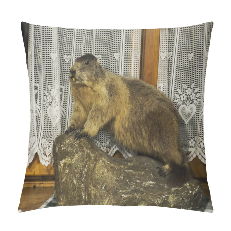 Personality  Decorate Interior Beaver Animal Taxidermy For Show In Restaurant Pillow Covers