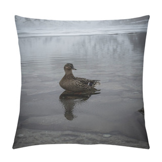 Personality  Wild Duck In Lake At Daytime Pillow Covers
