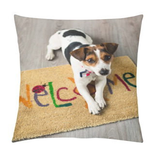 Personality  Cute Dog Posing On The Carpet Pillow Covers