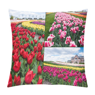 Personality  Selective Focus Of Colorful Tulips Field And House, Collage Pillow Covers