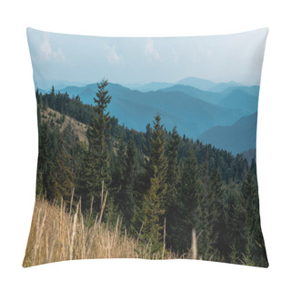 Personality  Selective Focus Of Fir Trees In Mountains Near Lawn Against Sky Pillow Covers