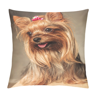 Personality  Happy Yorkshire Terrier Puppy Dog Panting Pillow Covers