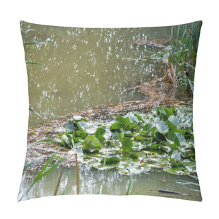 Personality  This Serene Scene Captures The Soft, Rhythmic Dance Of Raindrops As They Touch The Surface Of A Tranquil Pond. The Water Lilies And Their Floating Leaves Provide A Vibrant Touch Of Life And Color To Pillow Covers