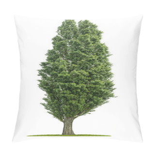 Personality  Isolated Poplar Tree On A White Background Pillow Covers