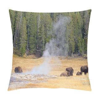 Personality  Bisons In Yellowstone Park Pillow Covers