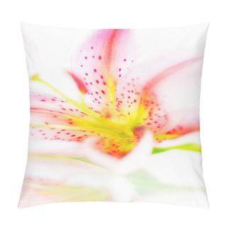 Personality  Fresh Pink Lily Pillow Covers