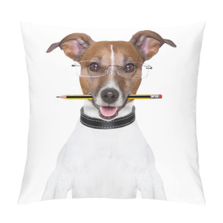 Personality  Dog Pencil Pillow Covers