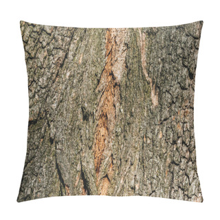 Personality  Horizontal Background Of Grey Tree Bark Pillow Covers