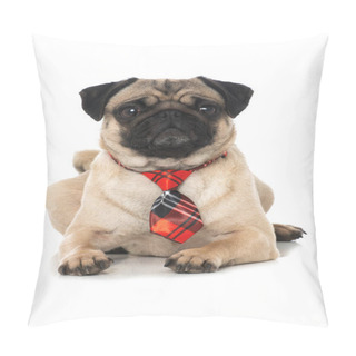 Personality  Pug With Tie Isolated On White Pillow Covers
