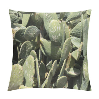 Personality  Close-up Graffitied Cactus Plant In Cyprus Pillow Covers
