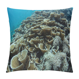 Personality  Healthy Yet Fragile Coral Reefs Abound Throughout The Incredible Islands Of Raja Ampat, Indonesia. This Remote, Tropical Region May Contain The Greatest Marine Biodiversity On Earth. Pillow Covers