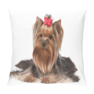 Personality  Dog With Red Bow Pillow Covers