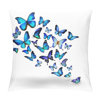 Personality  Many Blue Different Butterflies Flying Pillow Covers