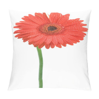 Personality  Gerbera Daisy After The Rain Pillow Covers