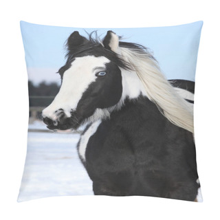Personality  Beautiful Irish Cob In Winter Pillow Covers