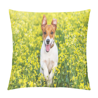 Personality  Jack Pillow Covers