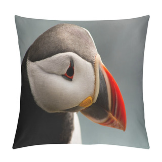 Personality  Puffin's Head Pillow Covers