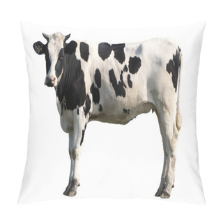Personality  Cow Isolated Pillow Covers