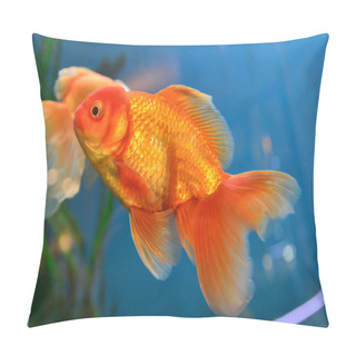 Personality  Gold Fish In Aquarium Pillow Covers