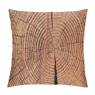 Personality  Full Frame Of Wooden Stump Texture As Backdrop Pillow Covers