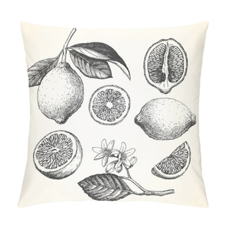 Personality  Hand-drawn Illustration Of Fruits Pillow Covers