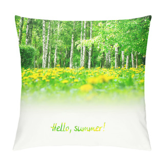 Personality  Spring Summer Background With Dandelions  Pillow Covers