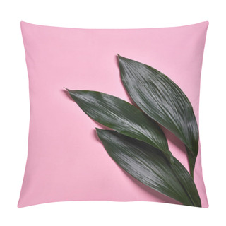 Personality  Evergreen Creative Pattern From Tropical Palm Leaf On A Pastel Pink Paper Background With Copy Space. Pillow Covers
