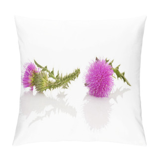 Personality  Thistle Flower Isolated Pillow Covers