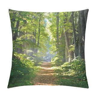Personality  Rural Gravel Road (alley) Through Mighty Green Linden Trees. Soft Sunlight, Sunbeams. Fairy Forest Landscape. Picturesque Scenery. Pure Nature. Art, Hope, Heaven, Loneliness, Wilderness Concepts Pillow Covers