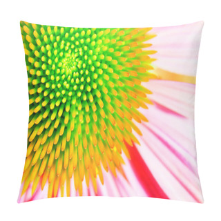 Personality  Neon Echinacea Or Purple Coneflower Pillow Covers