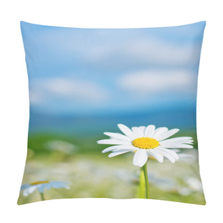 Personality  Beautiful Camomille Pillow Covers
