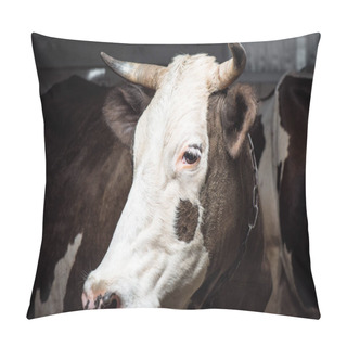 Personality  Cow Pillow Covers