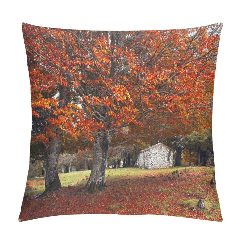 Personality  autumn forest with a cabin and vivid colors pillow covers