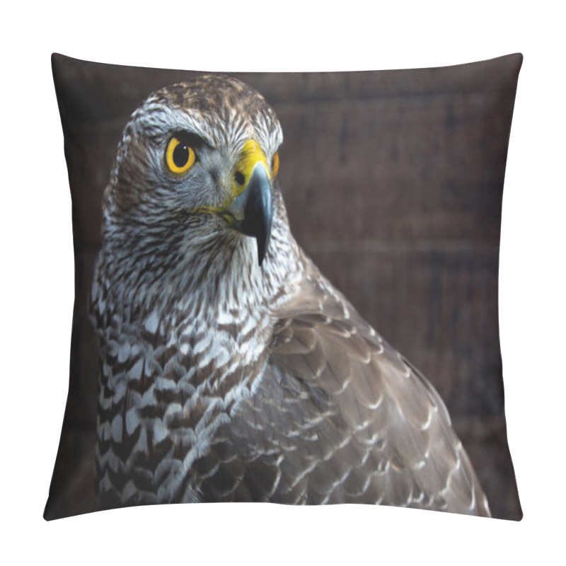 Personality  Hawk close up. pillow covers