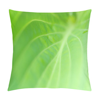Personality  Vibrant Leaf Background Pillow Covers