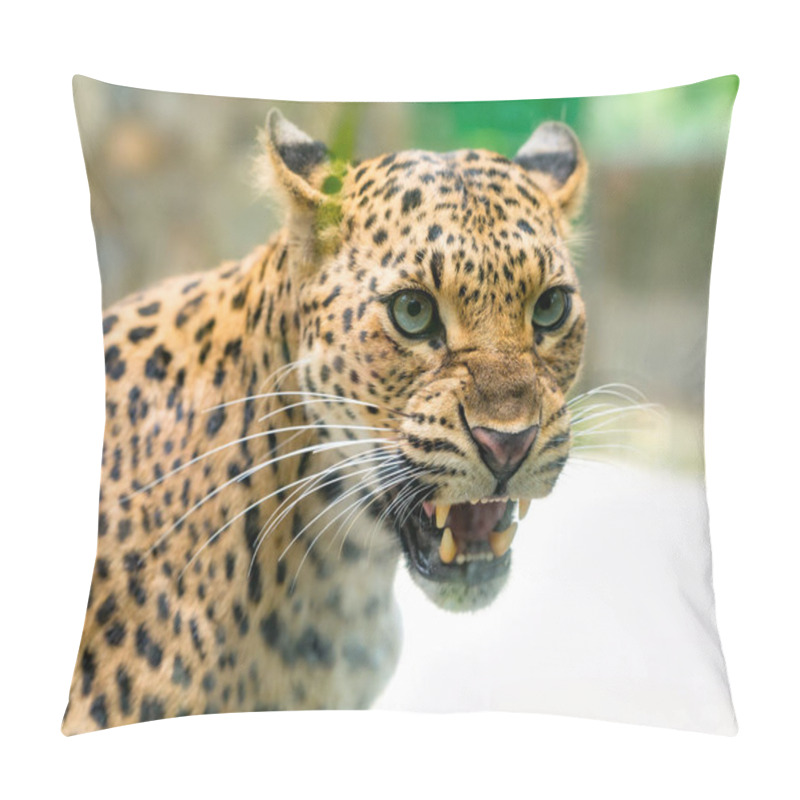 Personality  Portrait Of Leopard Prints Angry In The Natural World. Pillow Covers