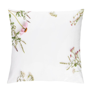 Personality  Echinacea, Yarrow, Medicinal Herbs Background, Flat Lay, Top View Pillow Covers
