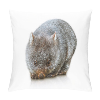 Personality  Australian Wombat Pillow Covers